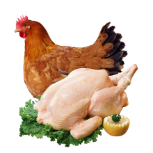 生鲜【农家土鸡】熬汤炖汤专用滑嫩全只放养土鸡 1.5kg